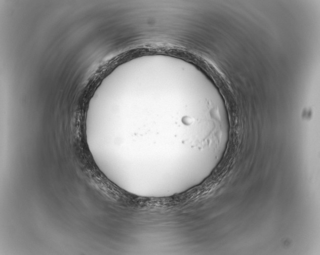 X0000093371016200711011224