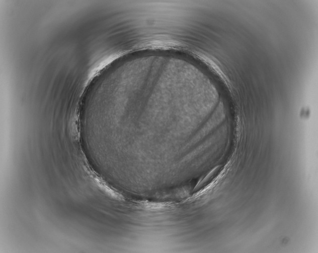 X0000093371018200711011224