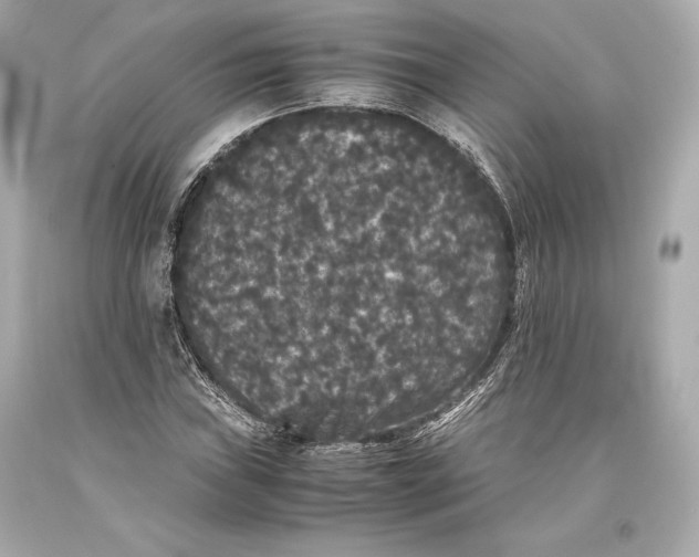 X0000093371019200711011224