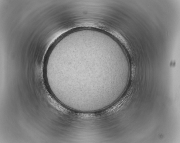 X0000093371020200711011224