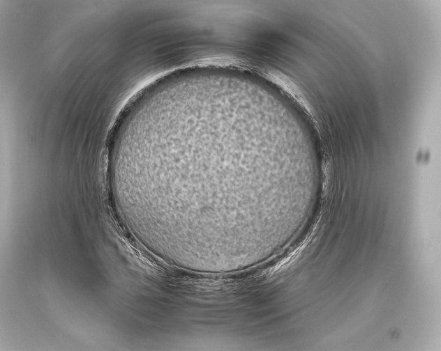 X0000093371021200711011224