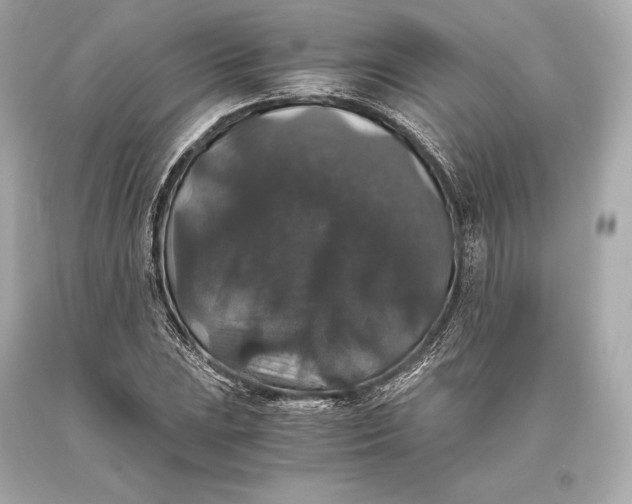 X0000093371023200711011224