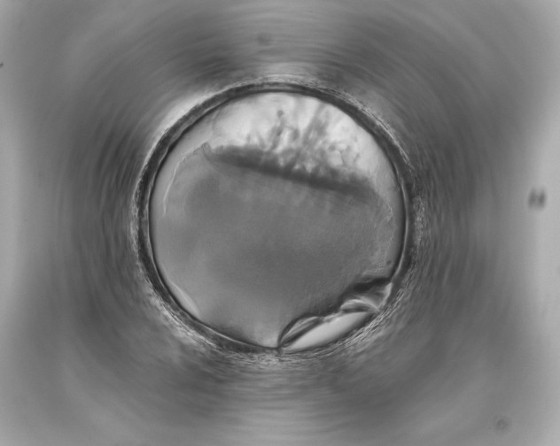 X0000093371024200711011224