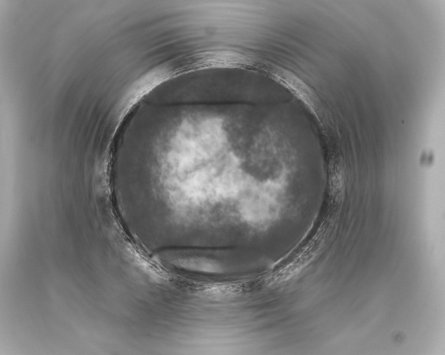 X0000093371026200711011224