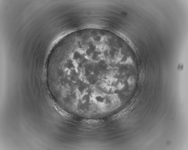 X0000093371027200711011224