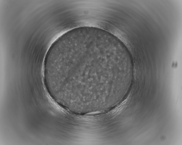 X0000093371028200711011224