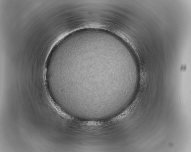 X0000093371029200711011224