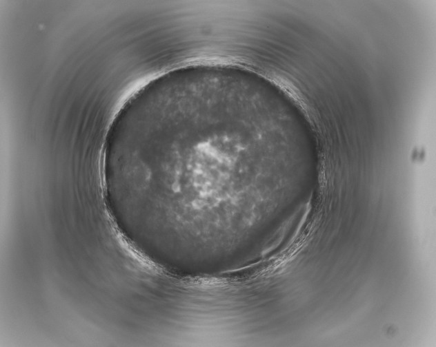 X0000093371030200711011224