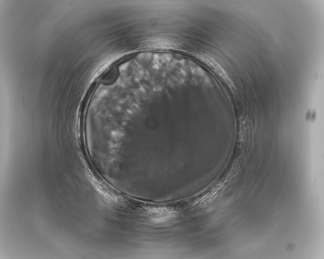 X0000093371031200711011224