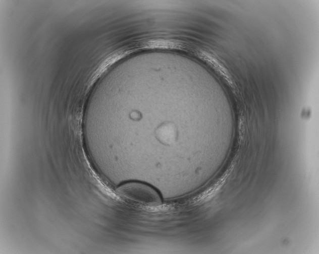 X0000093371033200711011224