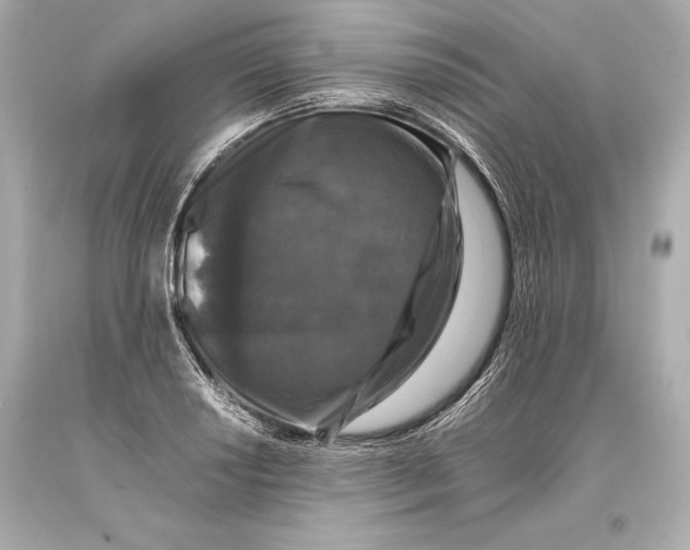 X0000093371034200711011224