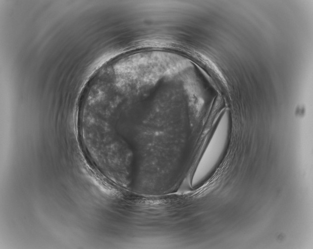 X0000093371035200711011224