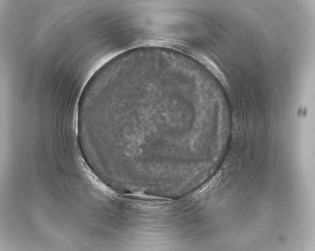 X0000093371036200711011224