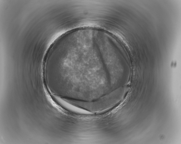 X0000093371038200711011224