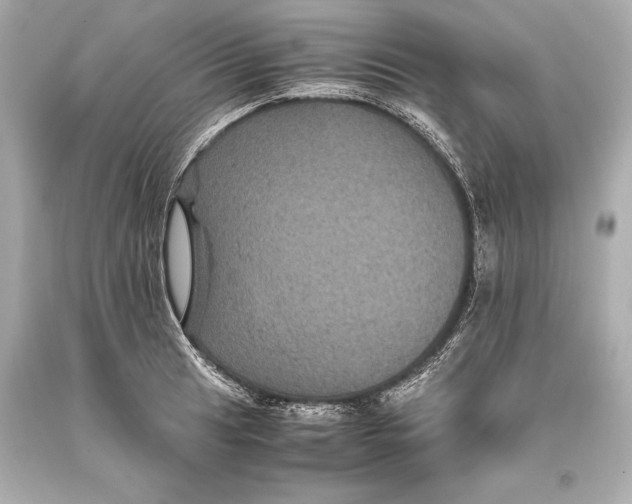 X0000093371041200711011224