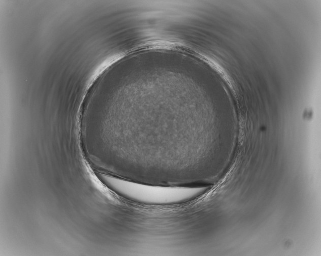 X0000093371042200711011224