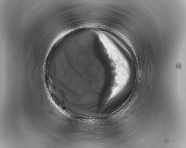 X0000093371045200711011224