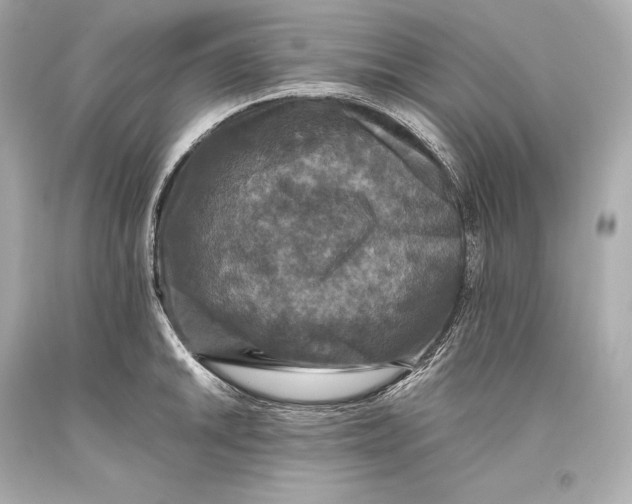 X0000093371046200711011224