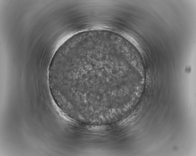 X0000093371047200711011224