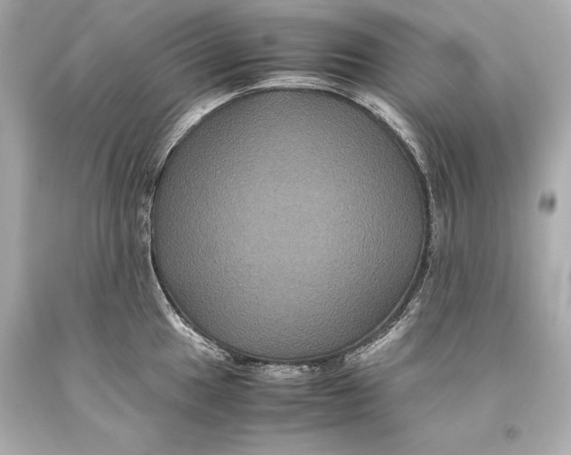 X0000093371049200711011224