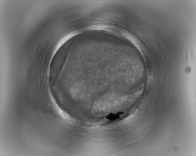 X0000093371050200711011224