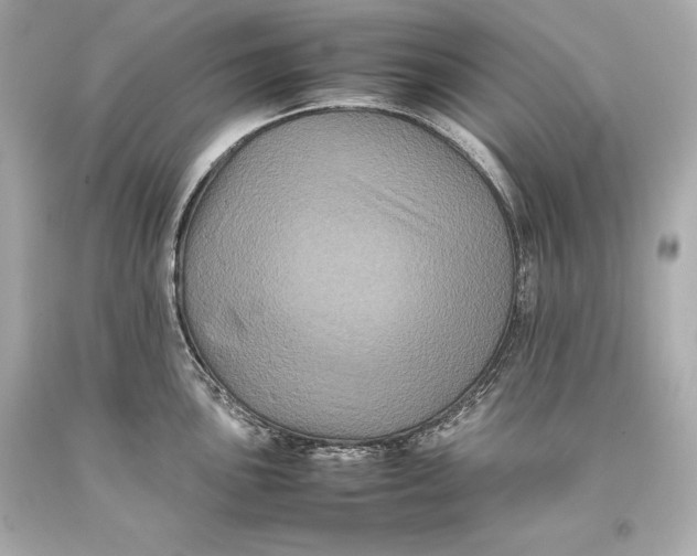 X0000093371051200711011224