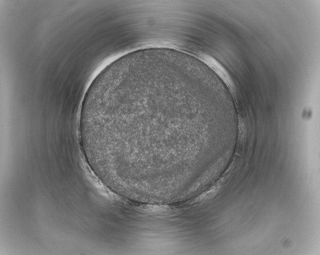 X0000093371052200711011224