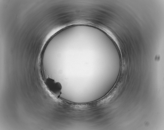 X0000093371053200711011224