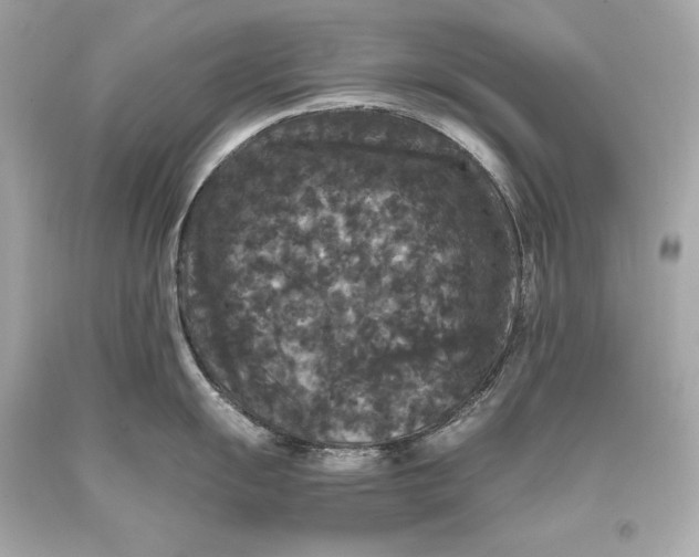 X0000093371055200711011224