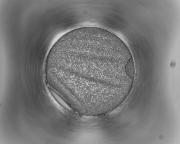 X0000093371056200711011224