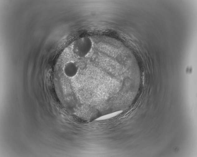 X0000093371059200711011223