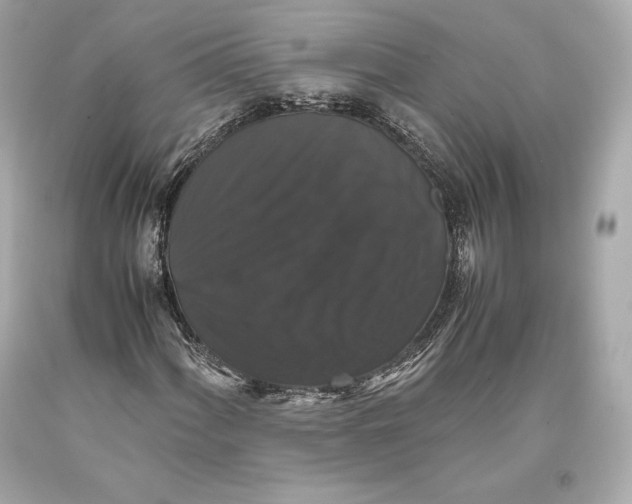 X0000093371060200711011223