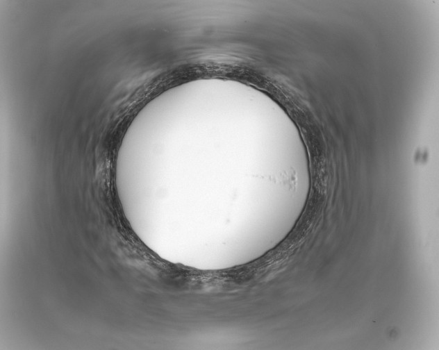 X0000093371061200711011223