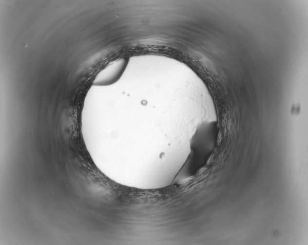 X0000093371062200711011223