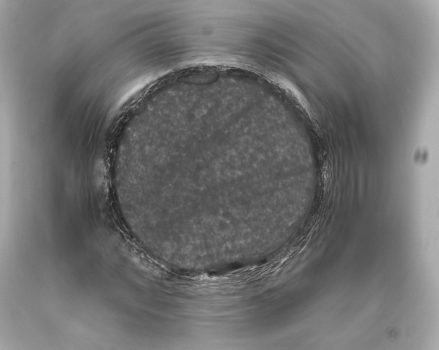 X0000093371064200711011223