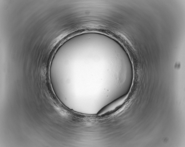 X0000093371065200711011223