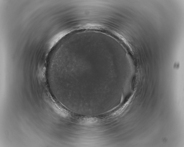 X0000093371066200711011223