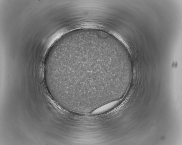 X0000093371067200711011223