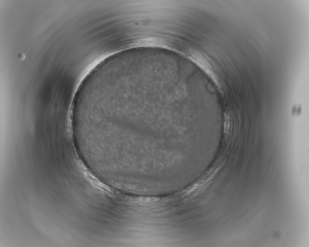 X0000093371068200711011223