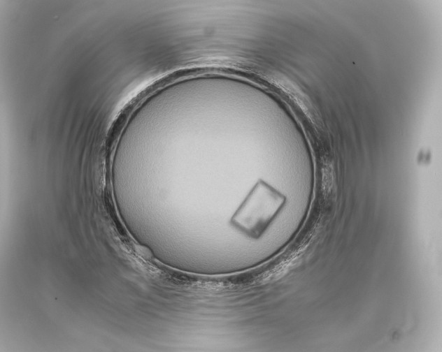 X0000093371069200711011223