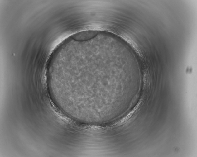 X0000093371070200711011223