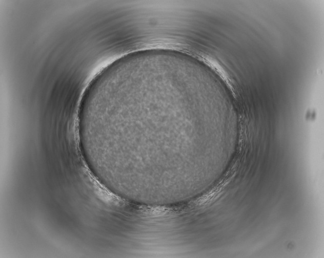 X0000093371072200711011223