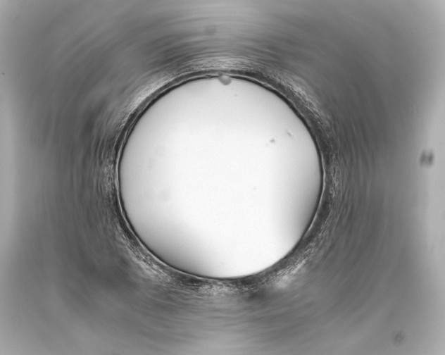 X0000093371073200711011223