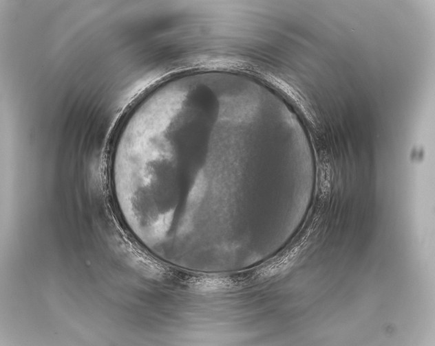 X0000093371074200711011223