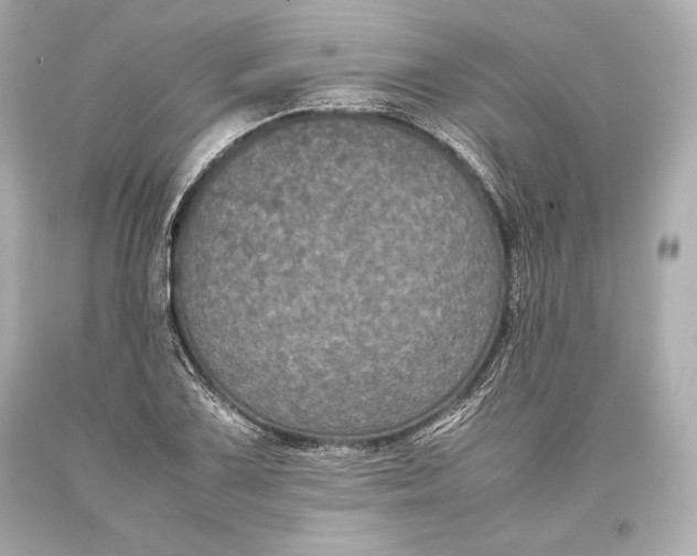 X0000093371075200711011223