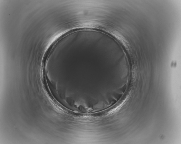 X0000093371077200711011223