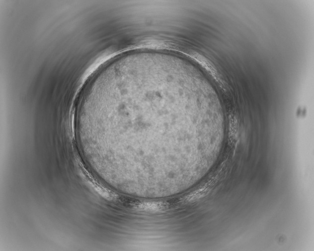 X0000093371078200711011223