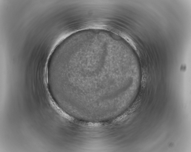 X0000093371080200711011223