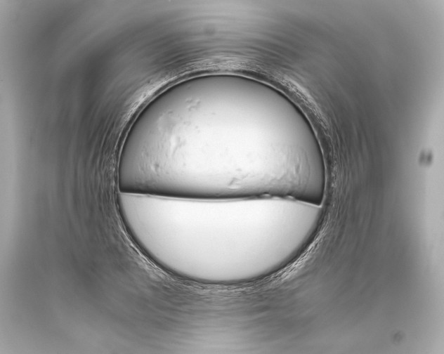 X0000093371081200711011223