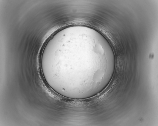 X0000093371082200711011223